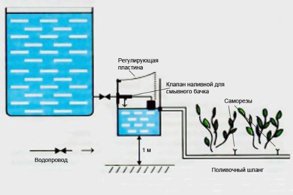 Схема капельного полива